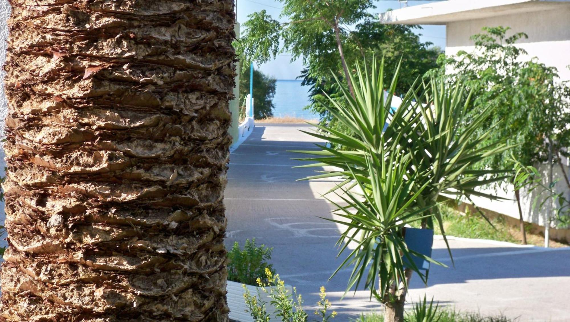 Aphrodite Samos Suites Marathókampos エクステリア 写真