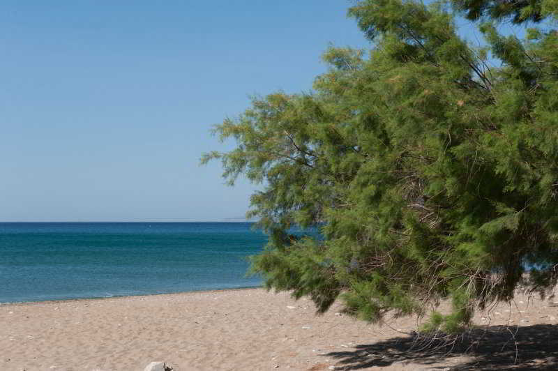 Aphrodite Samos Suites Marathókampos エクステリア 写真