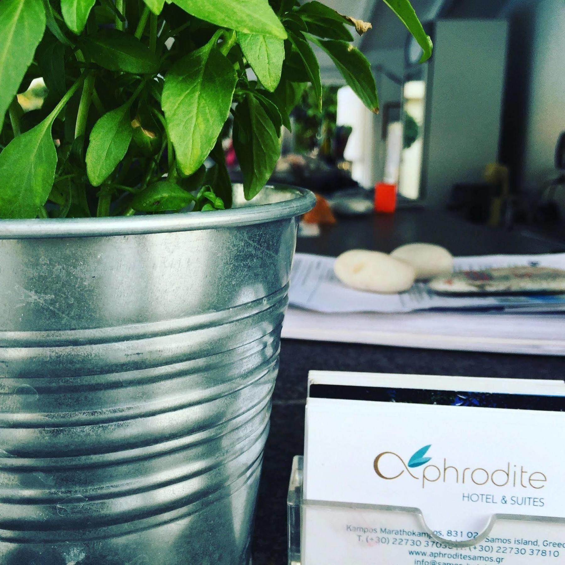 Aphrodite Samos Suites Marathókampos エクステリア 写真