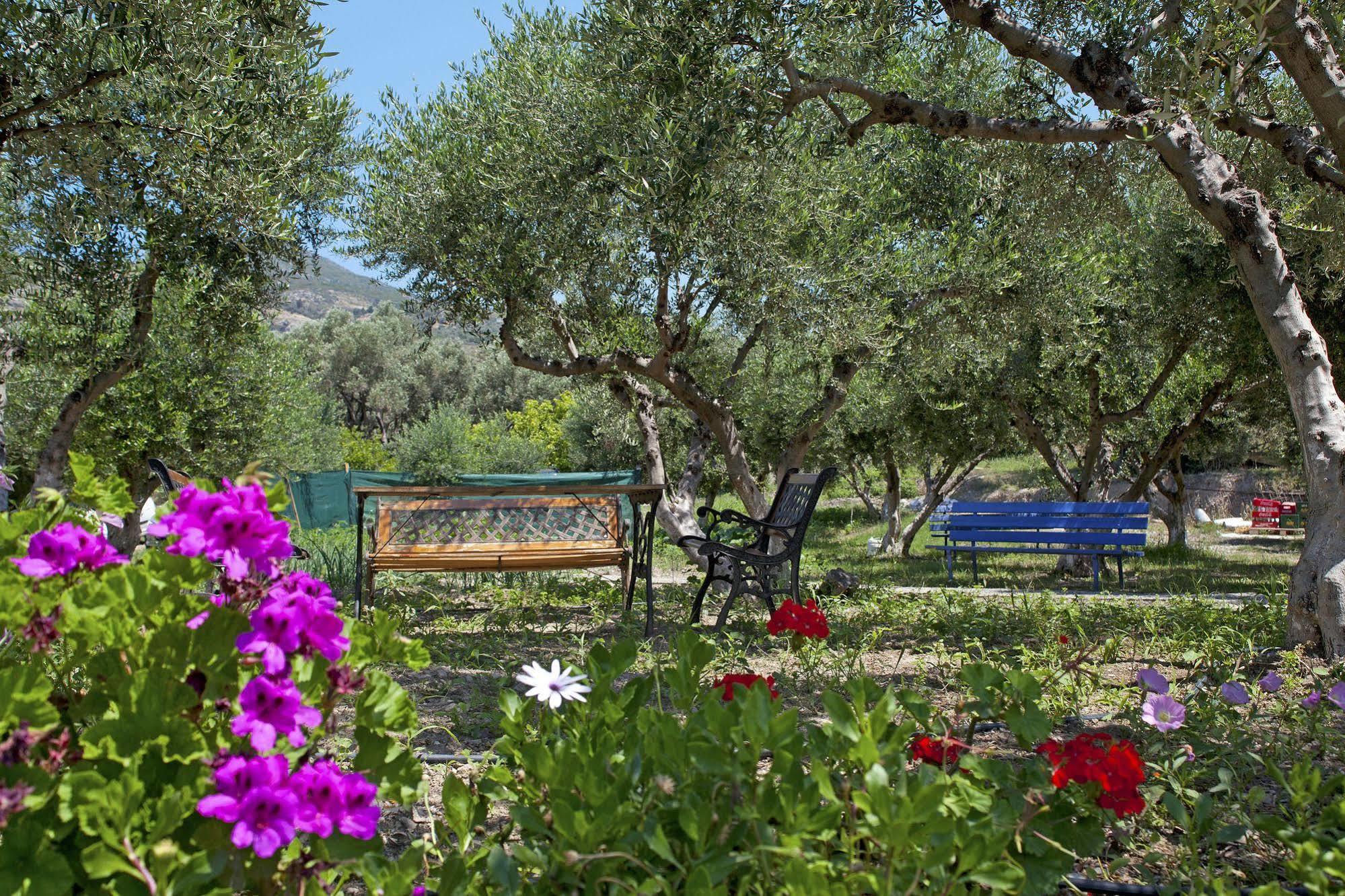 Aphrodite Samos Suites Marathókampos エクステリア 写真